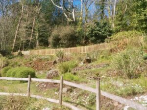 A new picket fence with matching gate providing dog-proofing and to divide a garden from a wildlife area."